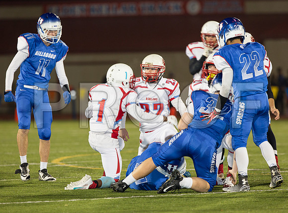 2014_11_ahs-hillsboro_081