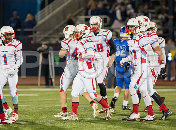 2014_11_ahs-hillsboro_100
