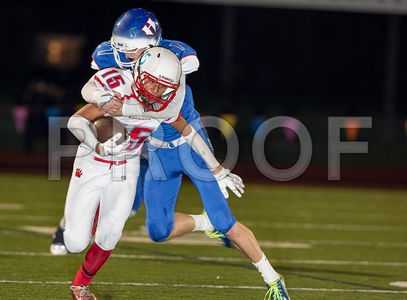 2014_11_ahs-hillsboro_027