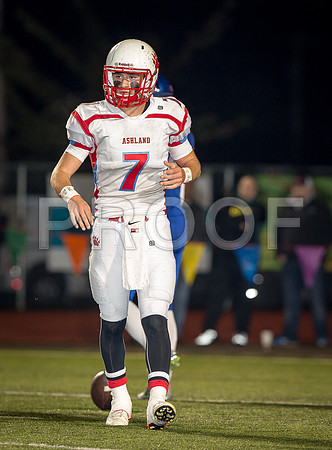 2014_11_ahs-hillsboro_059
