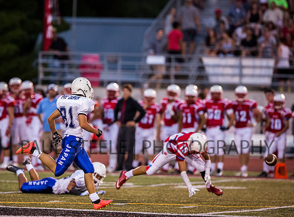 2015_07_prb_226