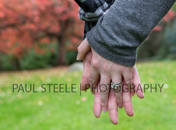 2015_11_joe-nicole_030