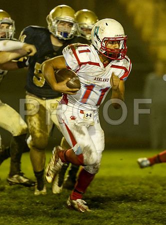 2014_10_ahs-marist_078