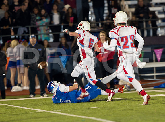 2014_11_ahs-hillsboro_083