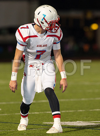 2014_11_ahs-hillsboro_035