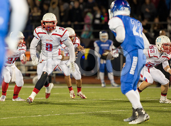 2014_11_ahs-hillsboro_034