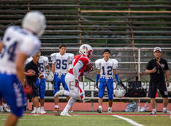 2015_07_prb_132
