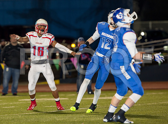 2014_11_ahs-hillsboro_046