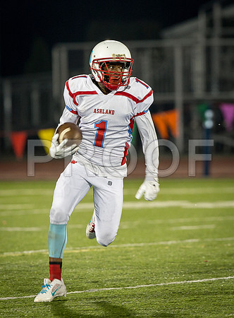 2014_11_ahs-hillsboro_138