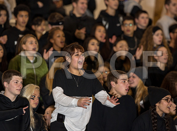 2014_11_ahs-hillsboro_141
