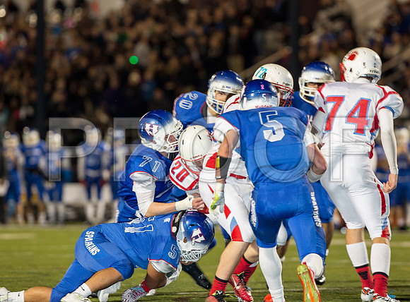2014_11_ahs-hillsboro_060