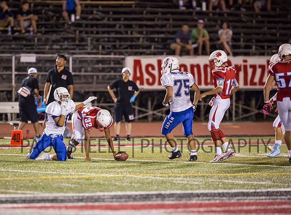 2015_07_prb_315