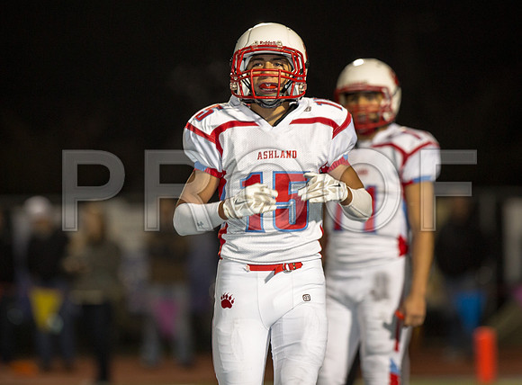 2014_11_ahs-hillsboro_024